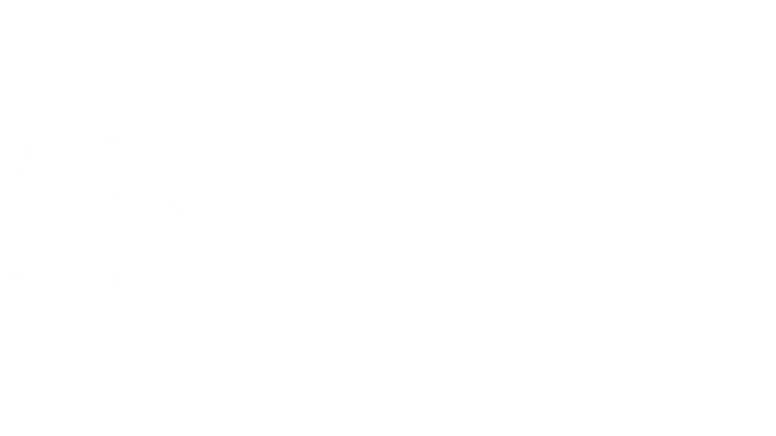 Congos Lodge Ometepe